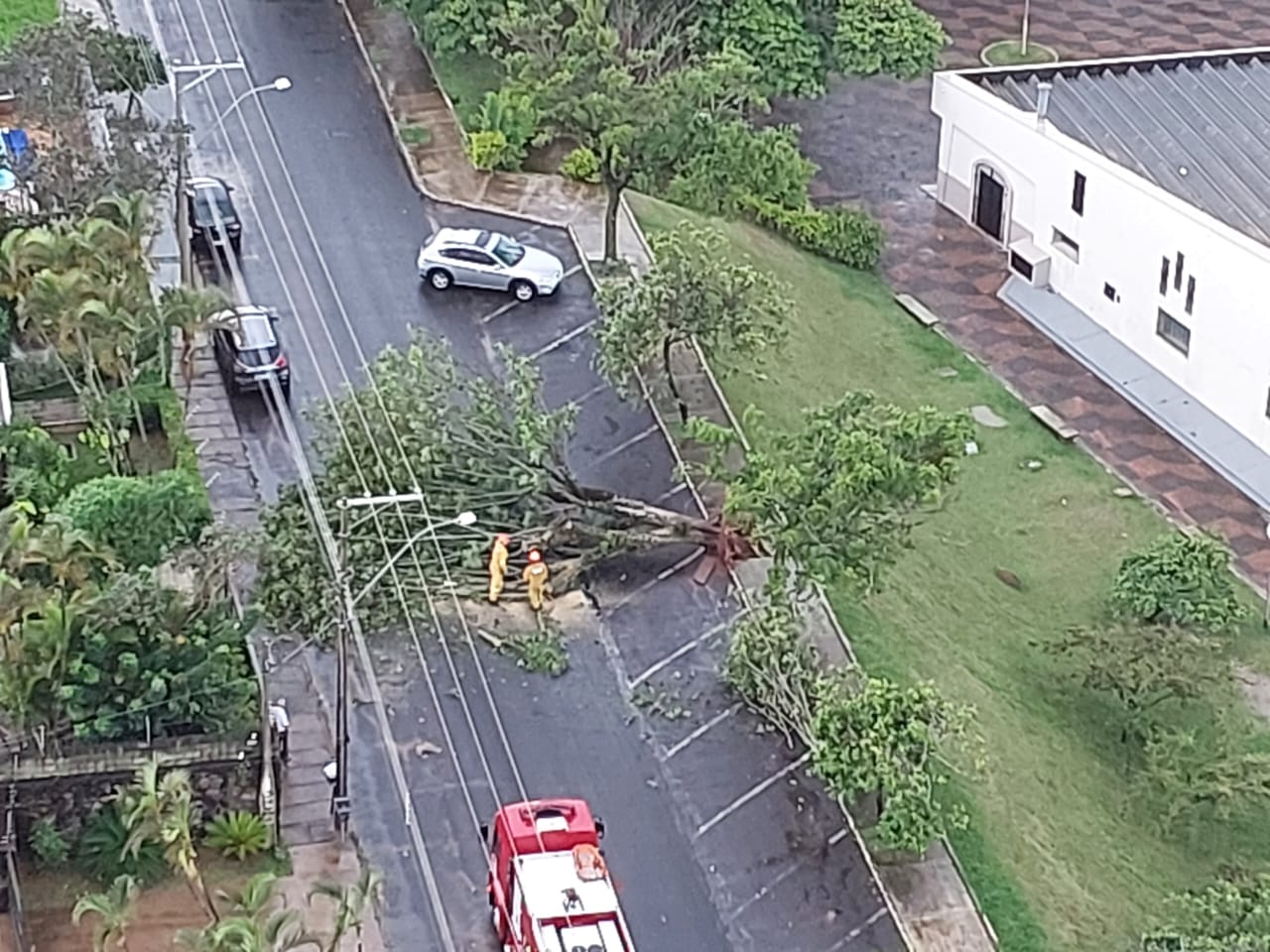 Botucatu Rvore Cai Durante Chuva E Interdita Rua No Centro Botucatu