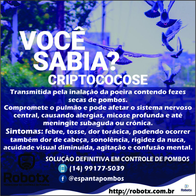 Piolho do pombo o que saber sobre a doença que causa lesões na pele Leia Notícias Piolho do pombo o que saber sobre a doença que causa lesões na pele Leia Notícias
