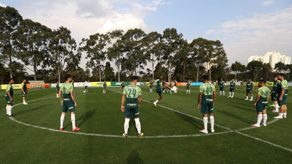 Palmeiras Recebe O Goiás No Allianz Parque Pelo Brasileiro - Leia Notícias