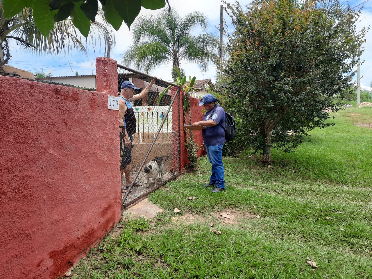 Botucatu: Rio Bonito, Porto Said e Mina estão com alta infestação do ...