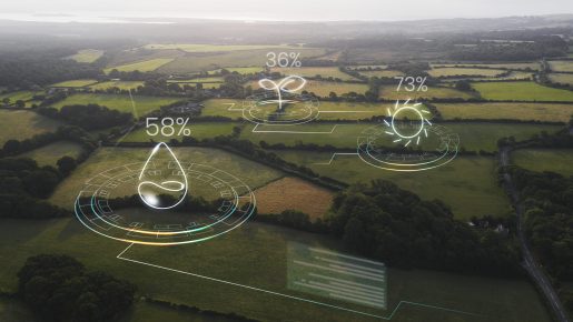 Plano Safra vai destinar R$ 436 bi em recursos para o Agro