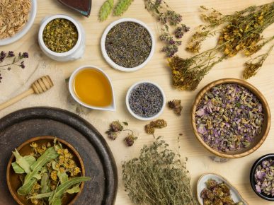 Widom lança curso online de fitoterapia e plantas medicinais