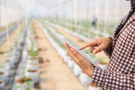 Agronegócio brasileiro atinge recorde de exportações em 2023