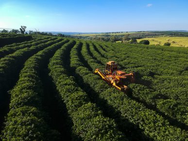 Tarifas de Trump abrem chance ao agro brasileiro