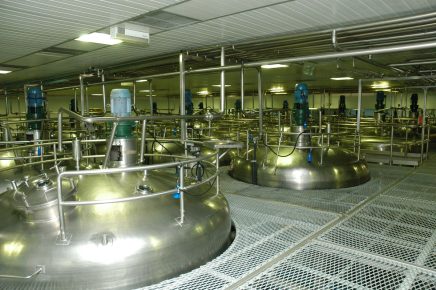 Leite Fermentado Yakult chega aos 90 anos