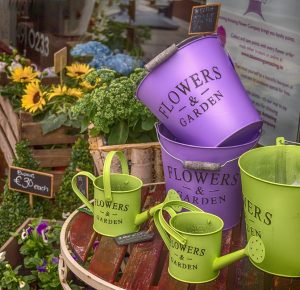 Segmento de flores mostra crescimento nos últimos anos