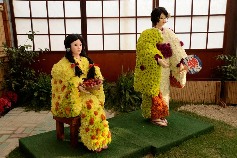Excursões já se organizam para a Festa de Flores e Morangos
