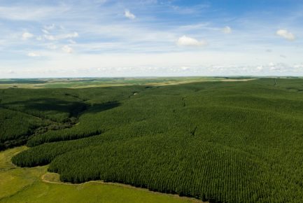 Guararapes apresenta relatório de sustentabilidade