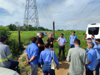 Treinamentos contínuos reduzem custos nas frotas