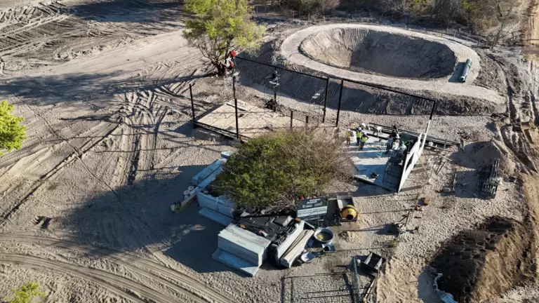 Implantação de viveiro agrícola fortalece semiárido baiano