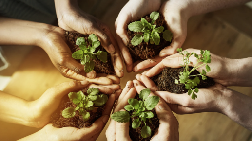 Educação Ambiental visa desenvolver a compreensão integrada do meio ambiente