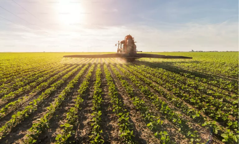 Derivados de potássio entregam eficiência e escala ao agro