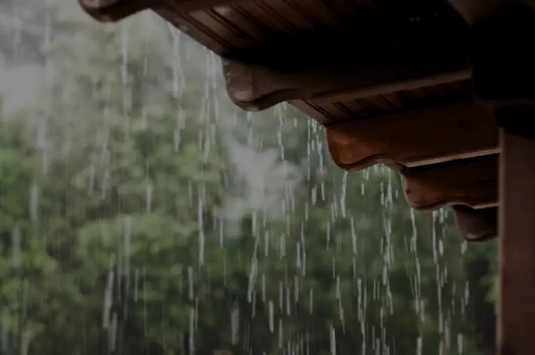 Calor e chuva aceleram avanço da dengue no país