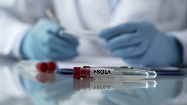 OMS declara emergência internacional por surto de ebola