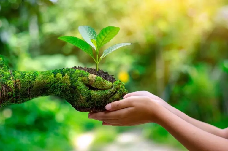 Consciência ecológica rege o comportamento dos ecoturistas